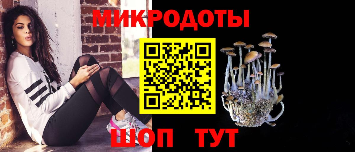 Галлюциногенные грибы Cubensis  где можно купить   Качканар  Вход с VPN  Псилоцибиновые грибы Psilocybine cubensis 